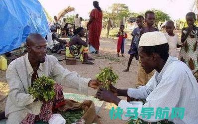 唯一吃树叶的国家，把国家吃垮巧茶称为东非