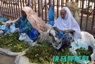 唯一吃树叶的国家，把国家吃垮巧茶称为东非