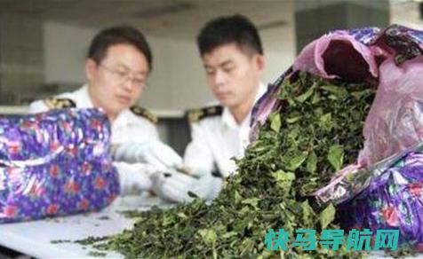 唯一吃树叶的国家，把国家吃垮巧茶称为东非