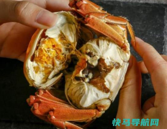 梭子蟹二母蟹会变成母蟹吗？梭子蟹二母蟹和母蟹哪个好吃